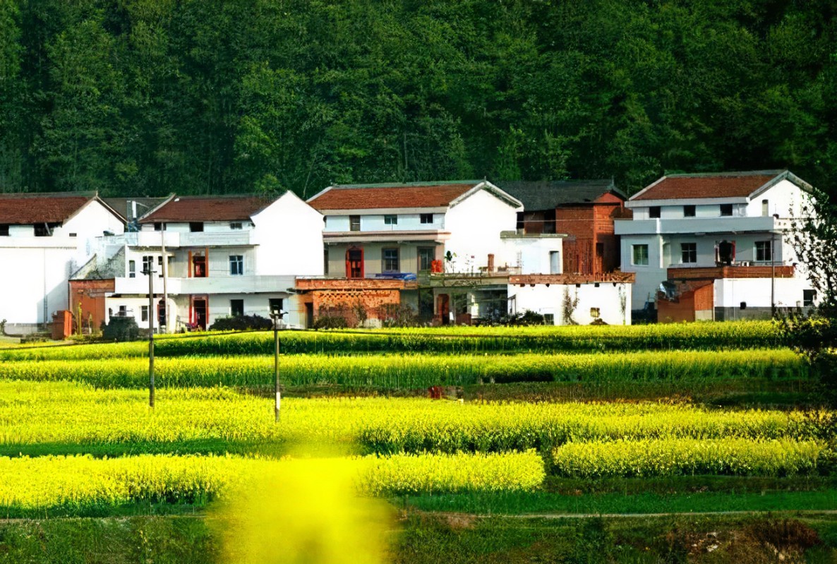宅基地.jpg